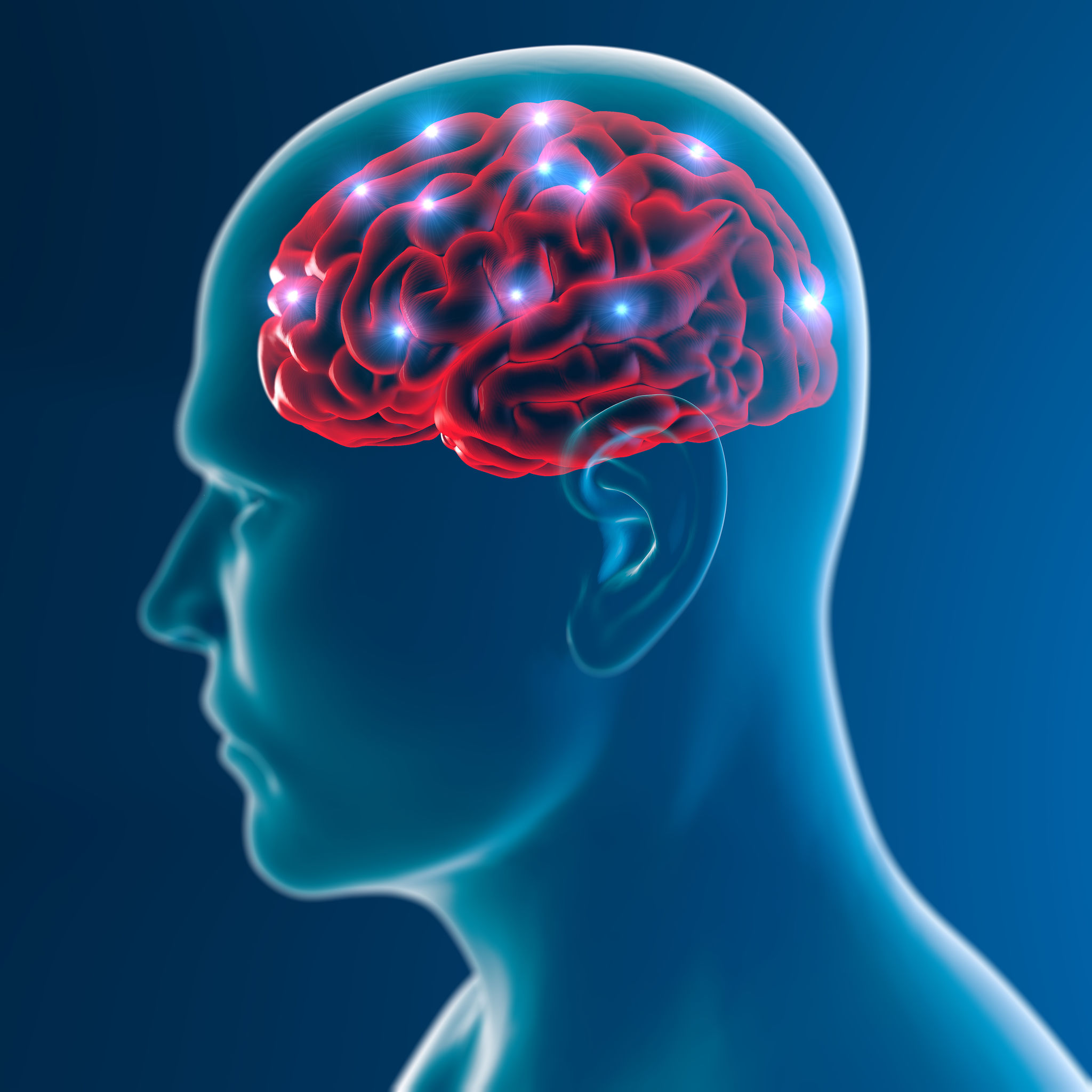 海馬體是大腦學習和記憶系統的核心，運動時身體會為腦袋供應血液