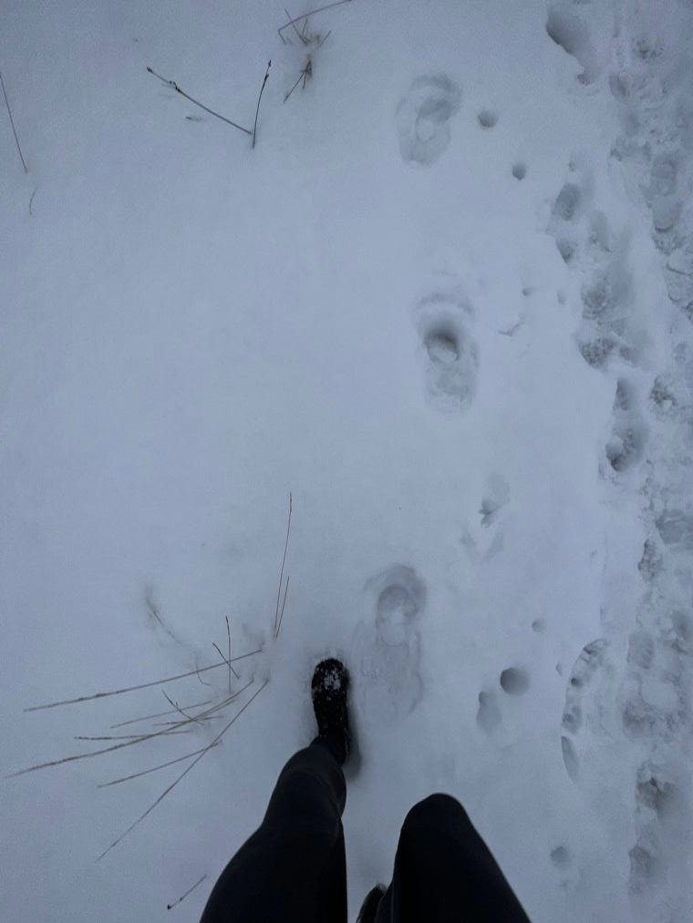 在積雪上行走