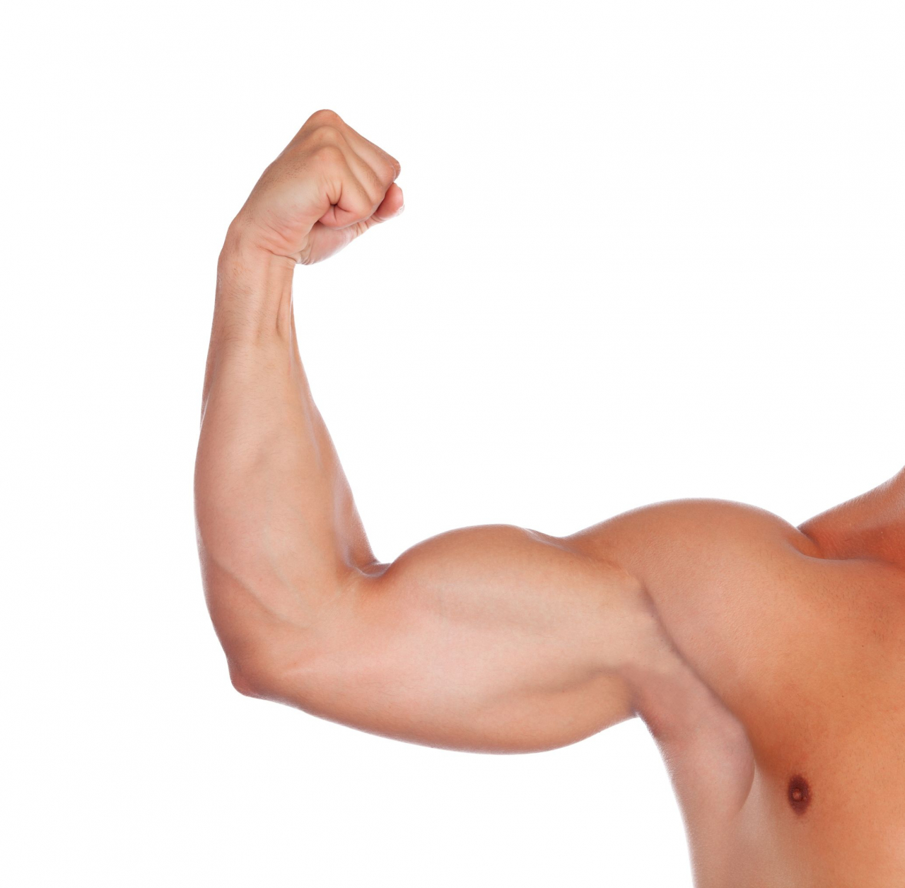 肌肉是身體十分重要的組織，有助身體減重、提升免疫力
