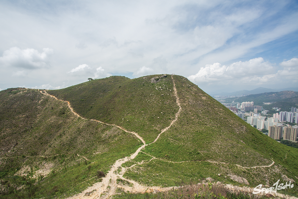 本地山峰的典型狀況——山峰四周開闢了多條山徑，登上峰頂的小徑陡直難行。（屯門青山一帶）