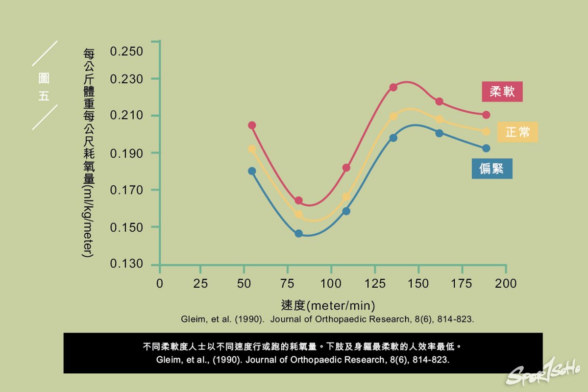 肌肉筋膜組織互動(下)|運動科學與創傷