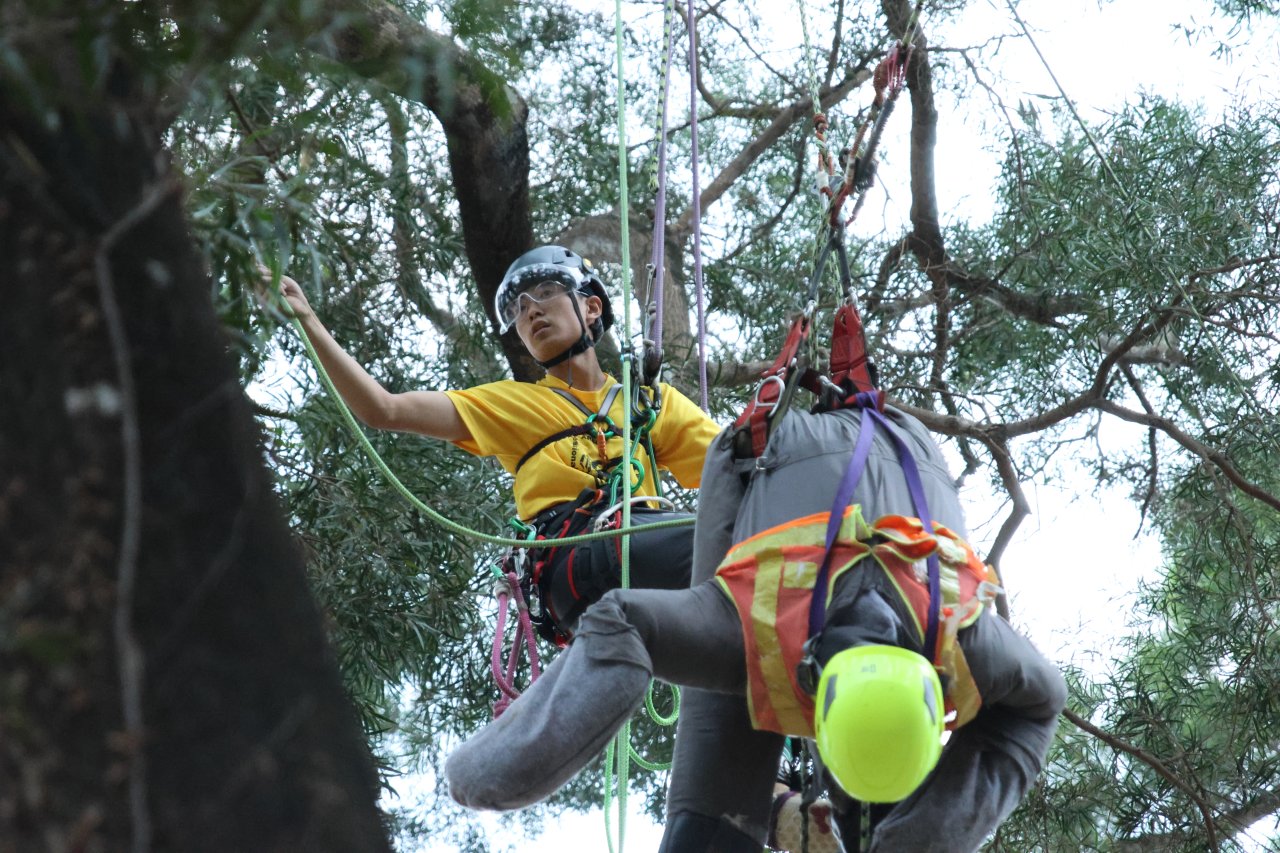 空中拯救(Aerial Rescue)