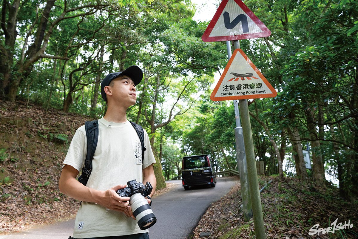 香港生態攝影師 馮漢城︱Yama嗲 香港生態攝影師 馮漢城︱Yama嗲
