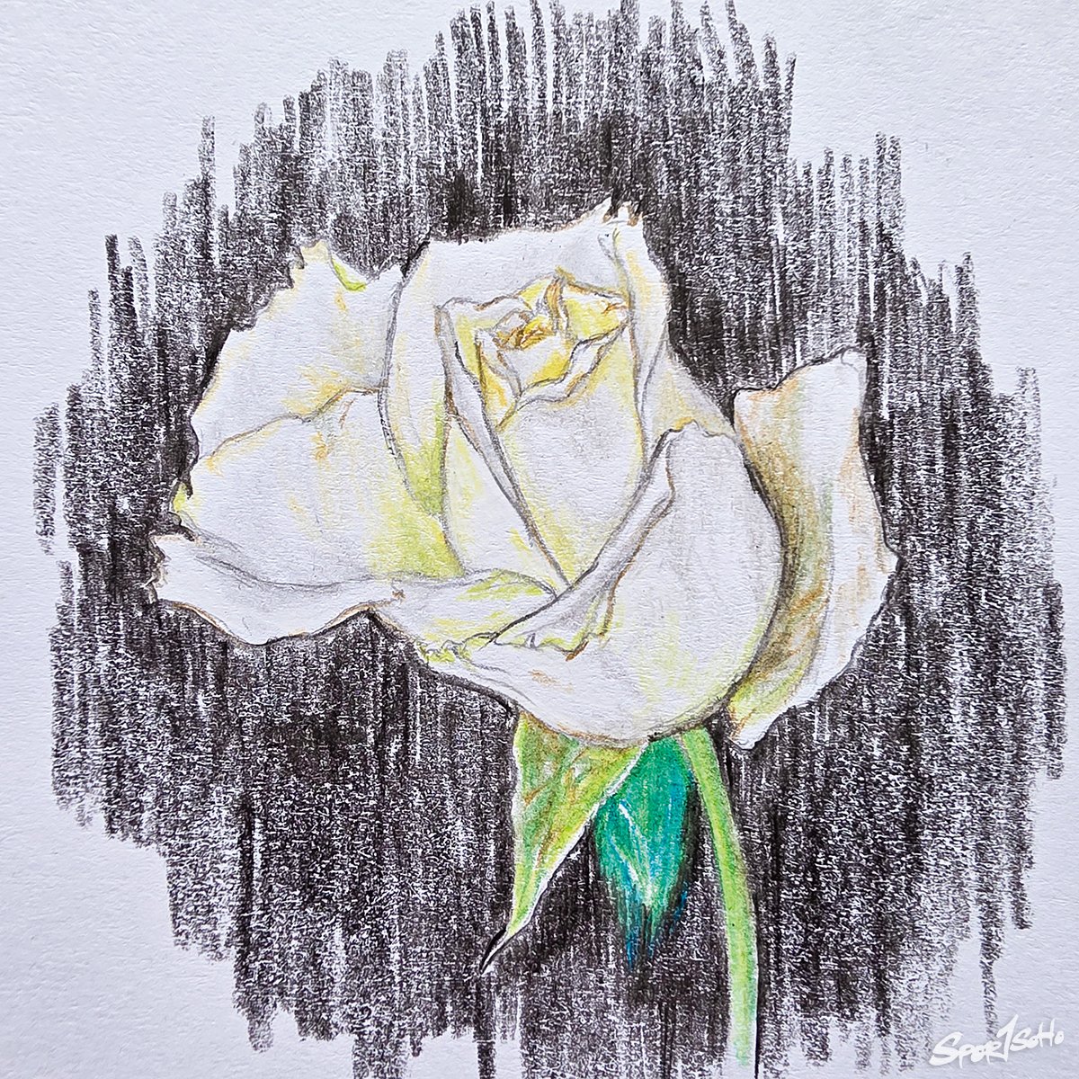 真誠才是最大道理｜畫觀蒼綠