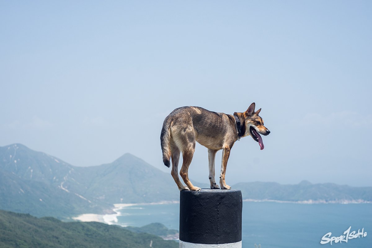 走上螺地墩山脊 西灣海岸全景盡收眼底｜天天爬坡