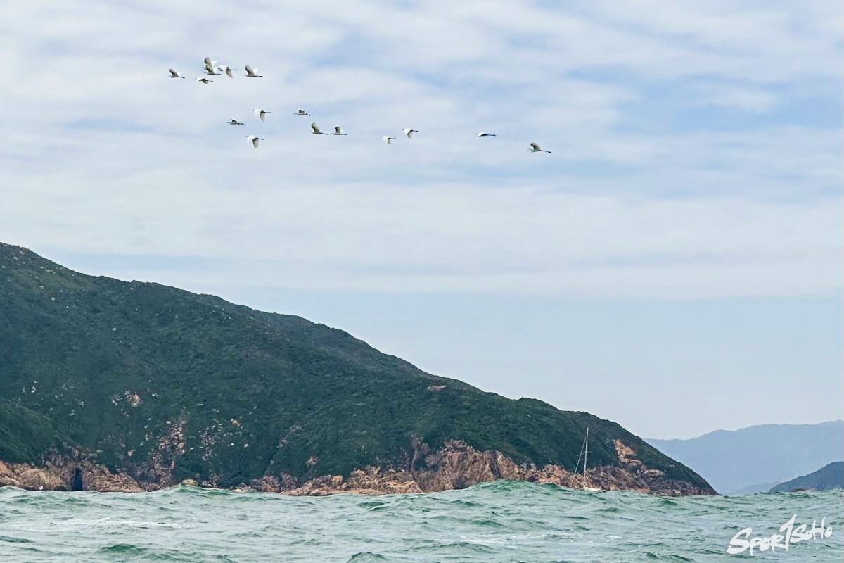 《六十八》｜深海郵箱