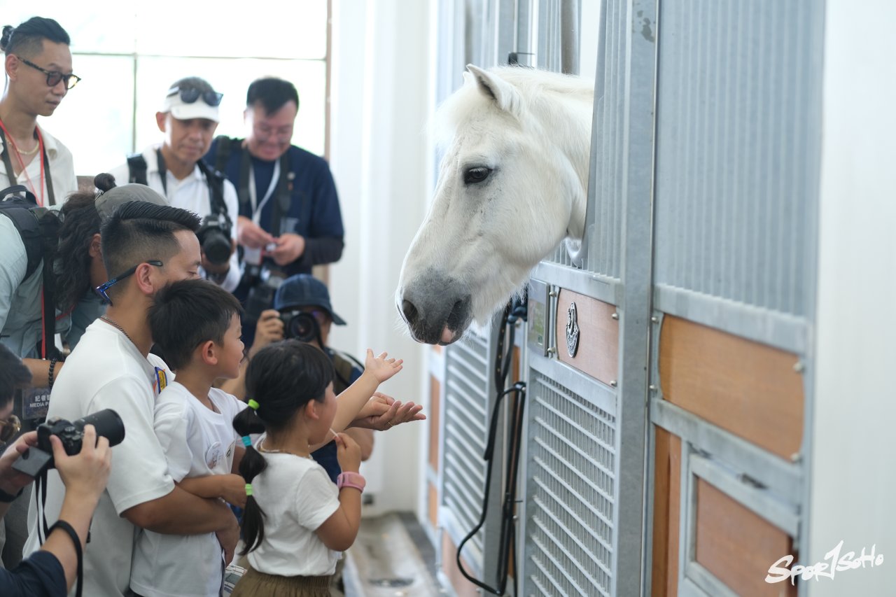 彭福公園「小馬大本營」為香港馬術培訓小馬迷 傳承奧運精神