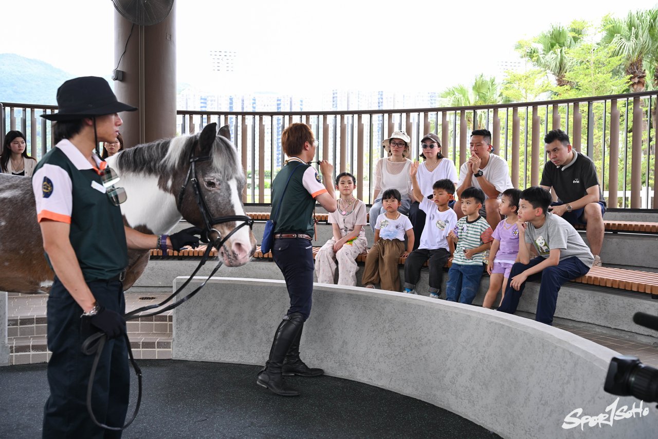 彭福公園「小馬大本營」為香港馬術培訓小馬迷 傳承奧運精神