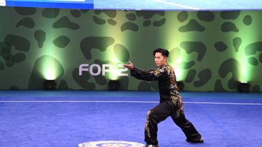 第十七屆世界武術錦標賽 港隊橫掃四金六銀五銅