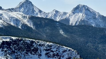 山老師｜琛山人語