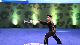 第十七屆世界武術錦標賽 港隊橫掃四金六銀五銅