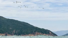 《六十八》｜深海郵箱