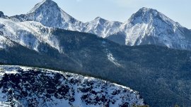 山老師｜琛山人語