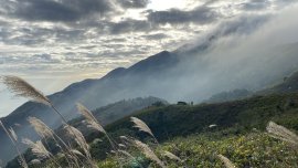 大嶼之美｜琛山人語