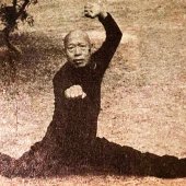 誰人自稱「假功夫」？｜武意見
