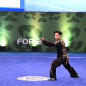 第十七屆世界武術錦標賽 港隊橫掃四金六銀五銅