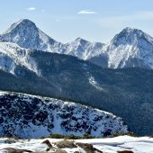 山老師｜琛山人語