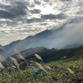 大嶼之美｜琛山人語