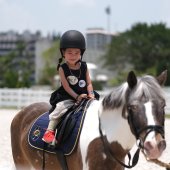 彭福公園「小馬大本營」為香港馬術培訓小馬迷 傳承奧運精神