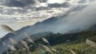 大嶼之美｜琛山人語