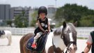 彭福公園「小馬大本營」為香港馬術培訓小馬迷 傳承奧運精神